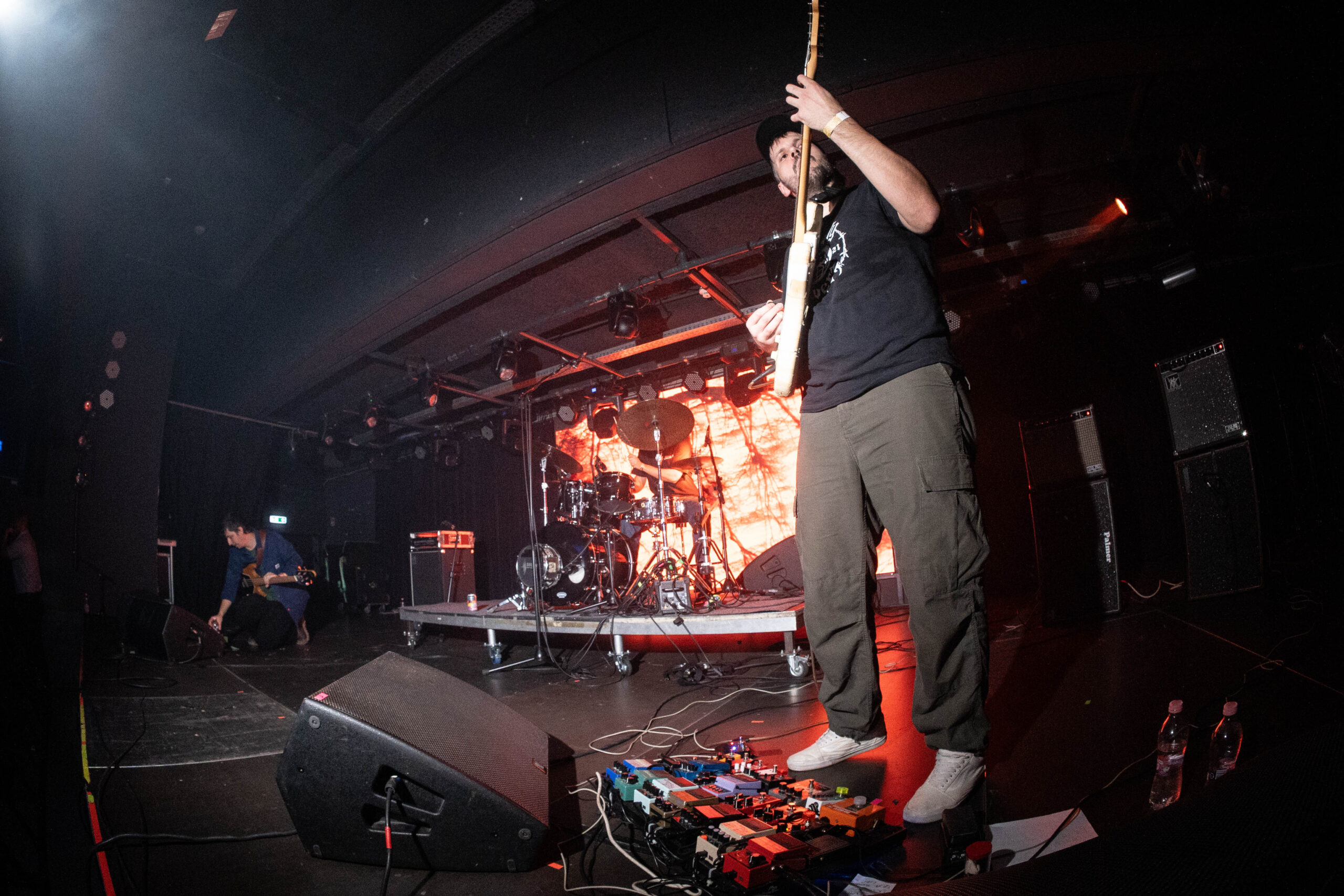 Makrohang (fotó: Kenyeres Kristóf)