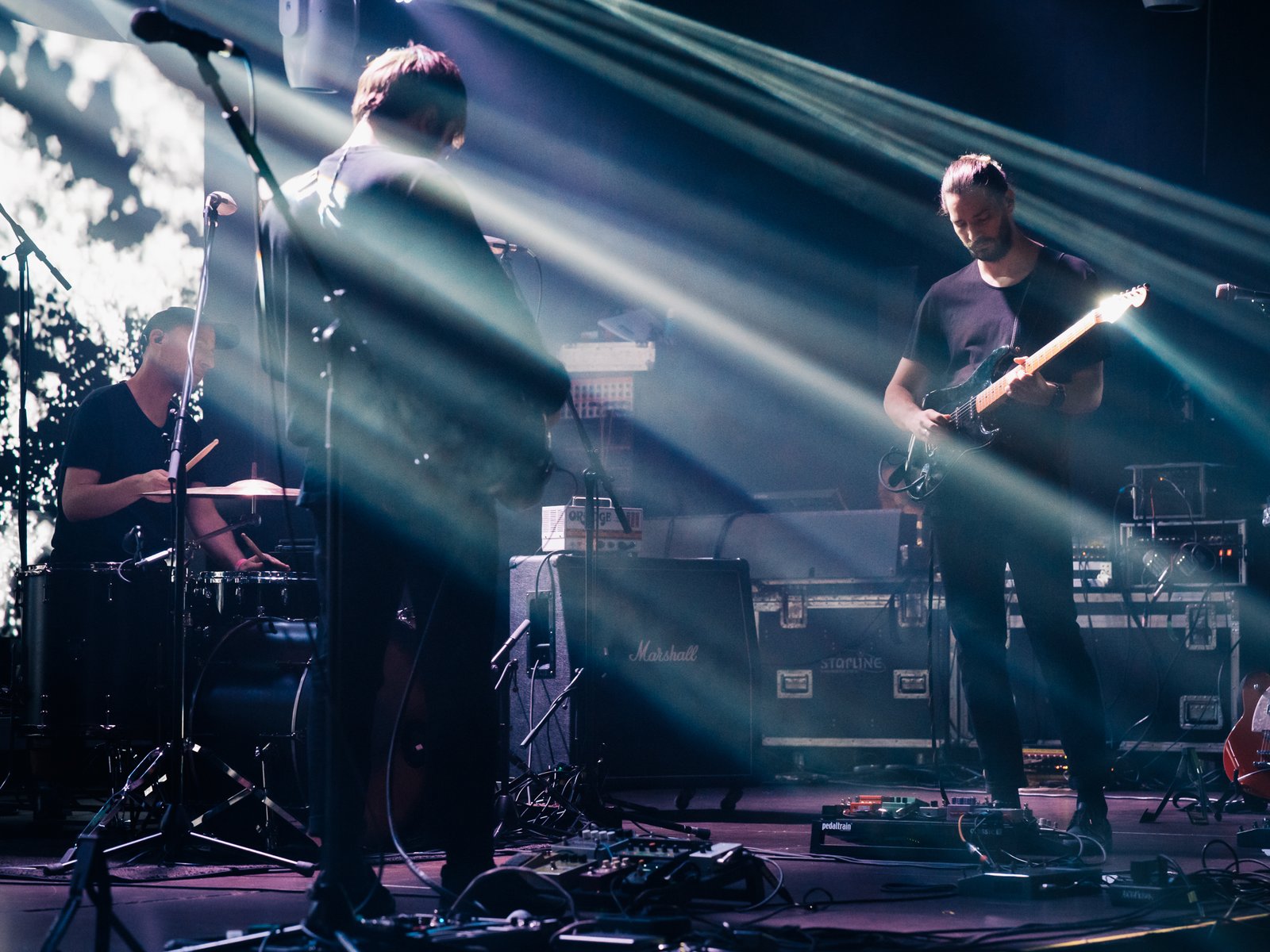 Törzs (fotó: Fodor Csilla)