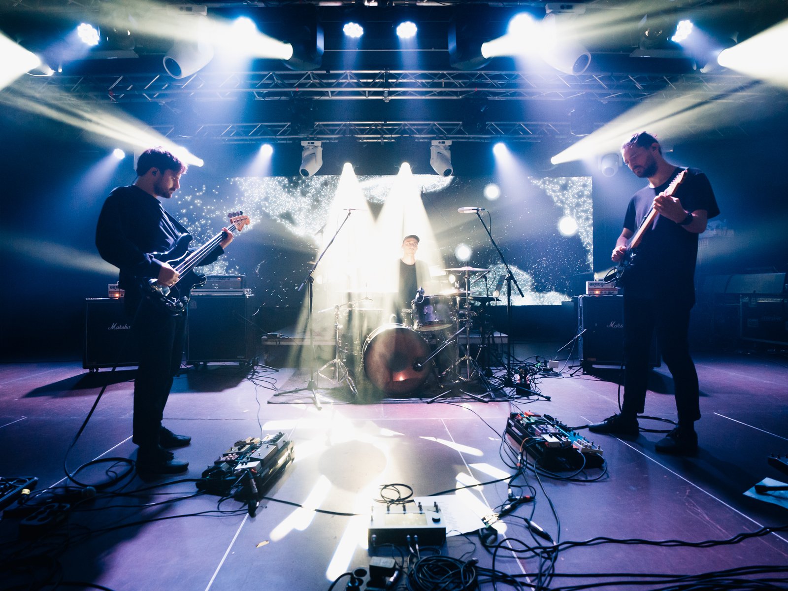 Törzs (fotó: Fodor Csilla)