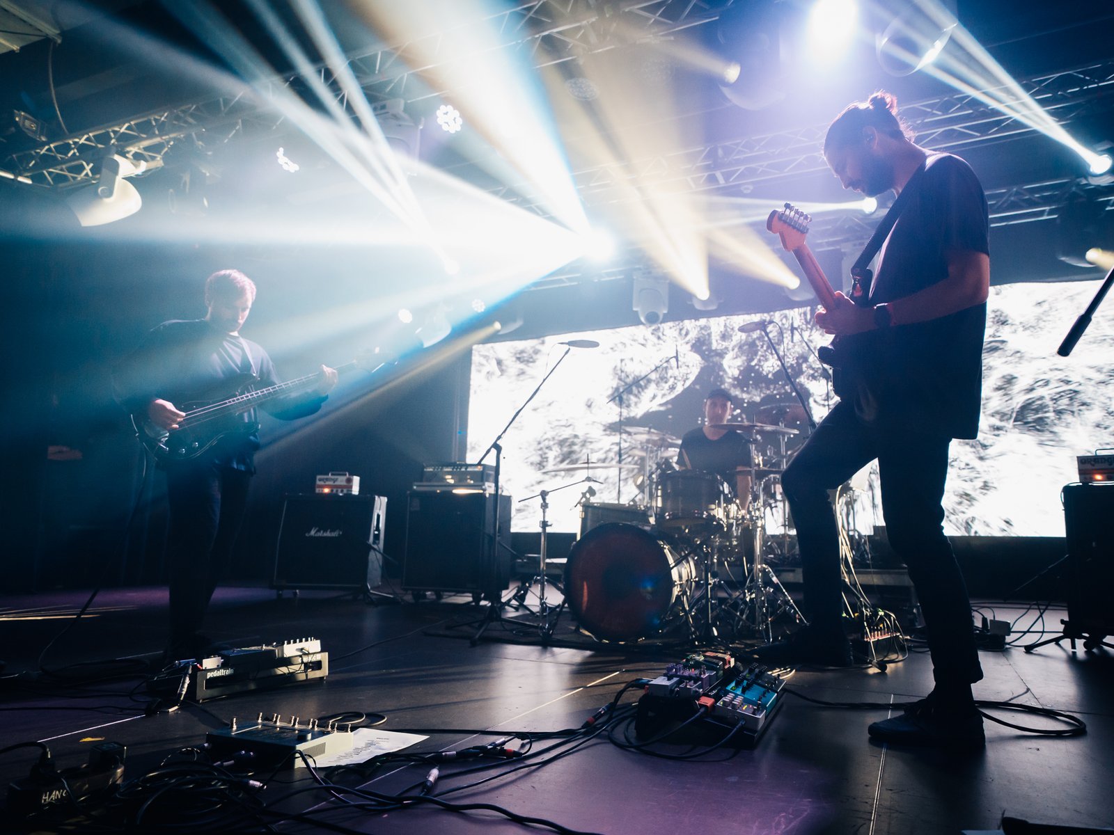 Törzs (fotó: Fodor Csilla)