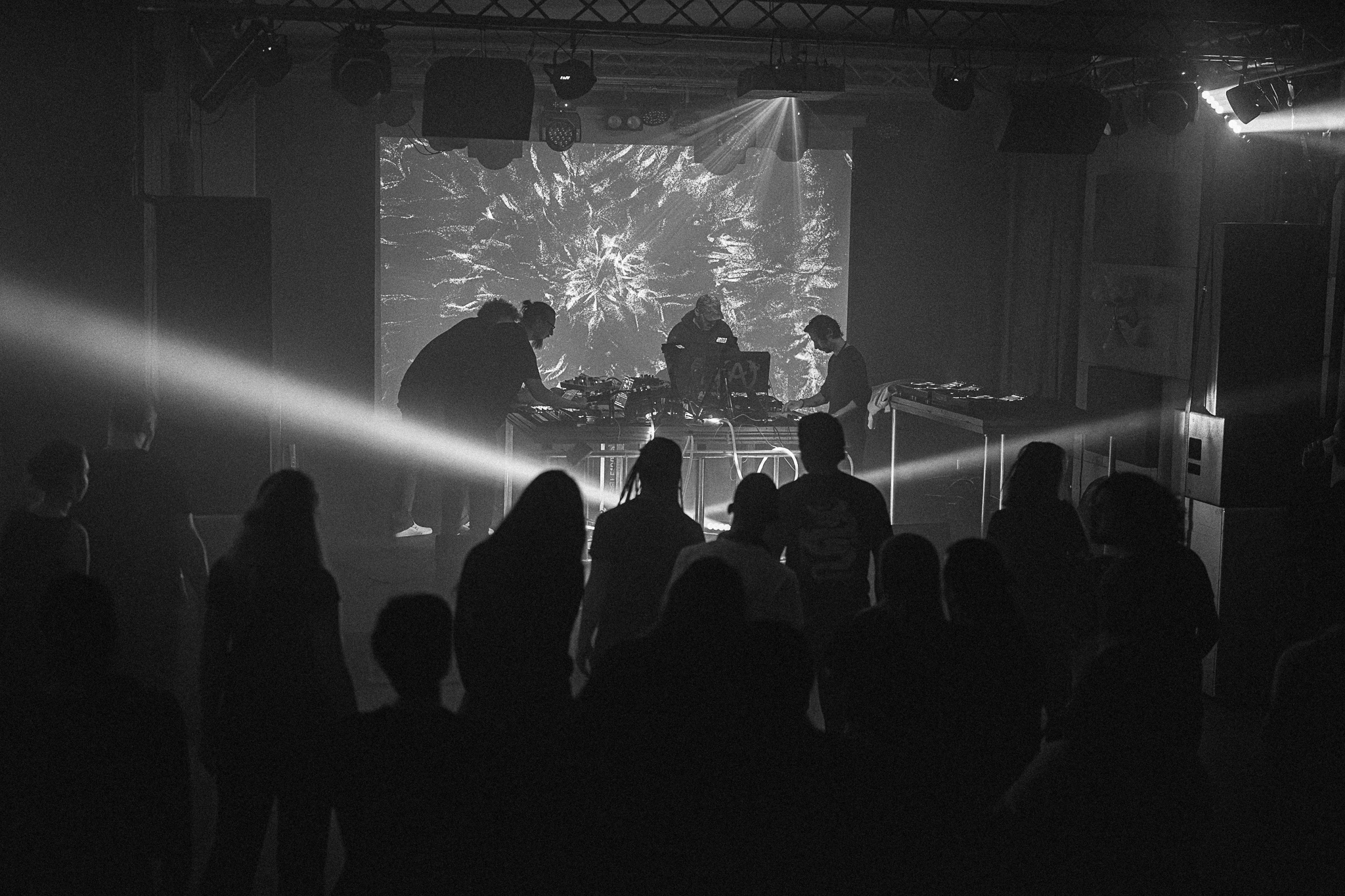 Free Sequence Label Night