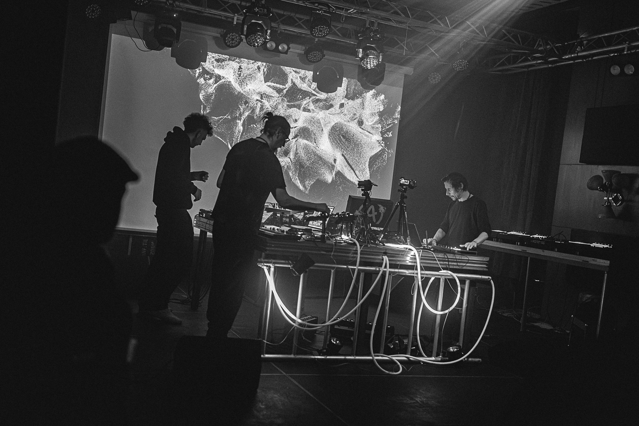 Free Sequence Label Night