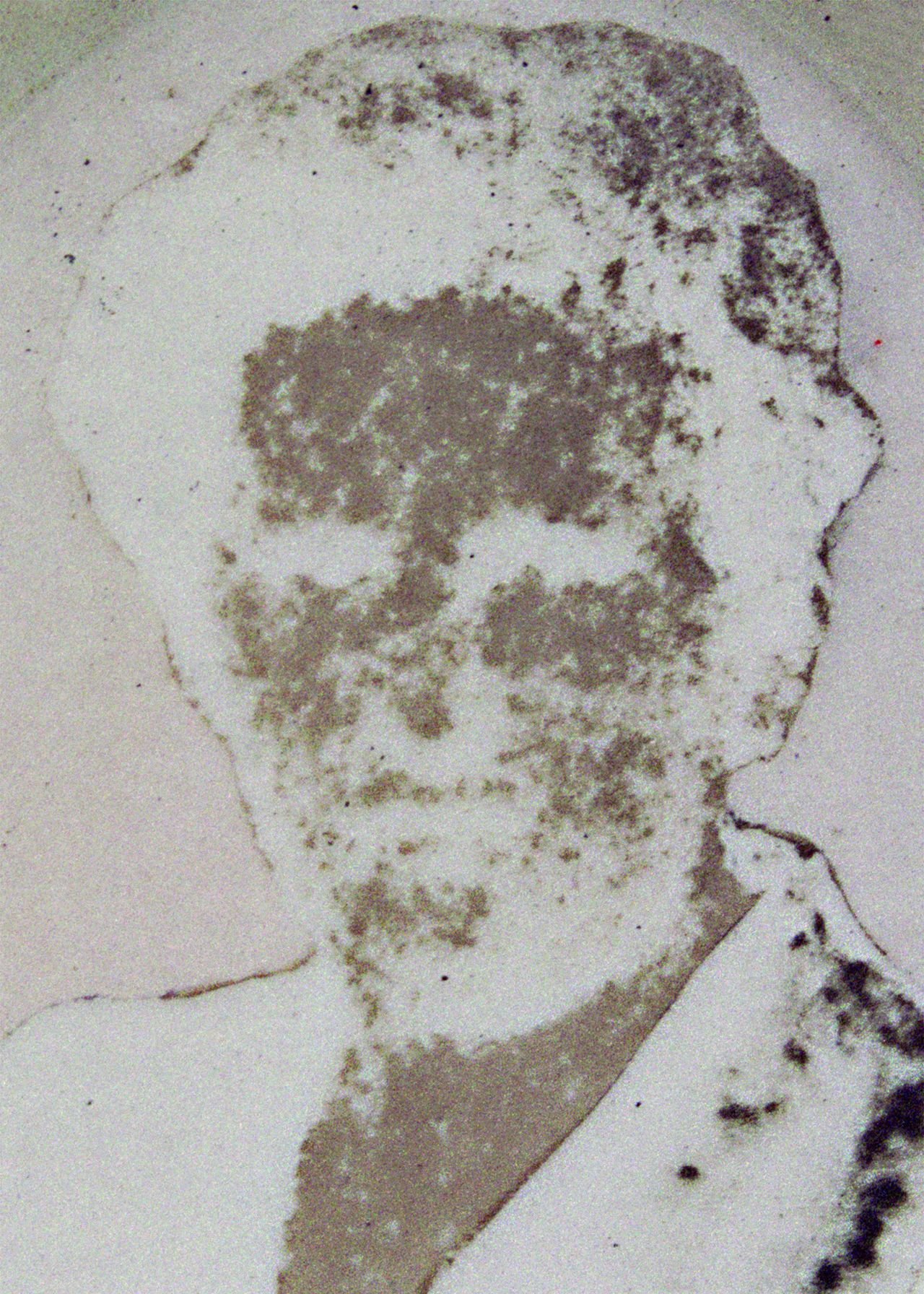 Pavel Maria Smejkal: Fade out. 2004. A müvész tulajdona. Foto SNG 