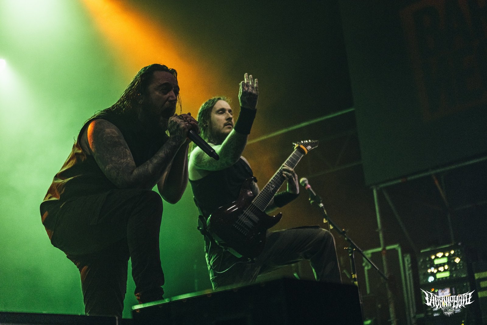 Ingested