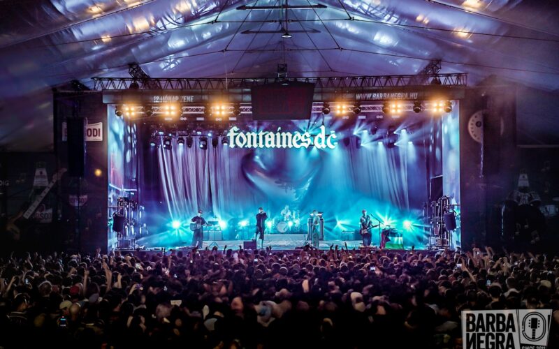 Fontaines D.C.