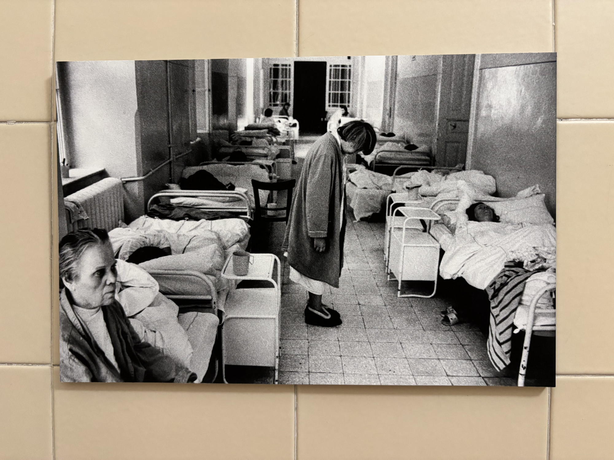 A diagnózis: rendszerhiba – A puszta életen túl – KULTer.hu