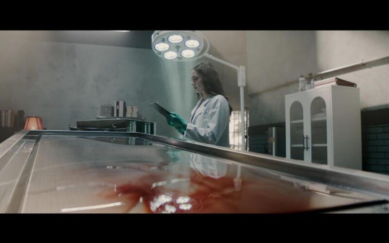 The Mortuary Assistant